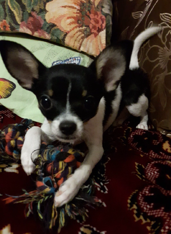 4 месяца Огольцу