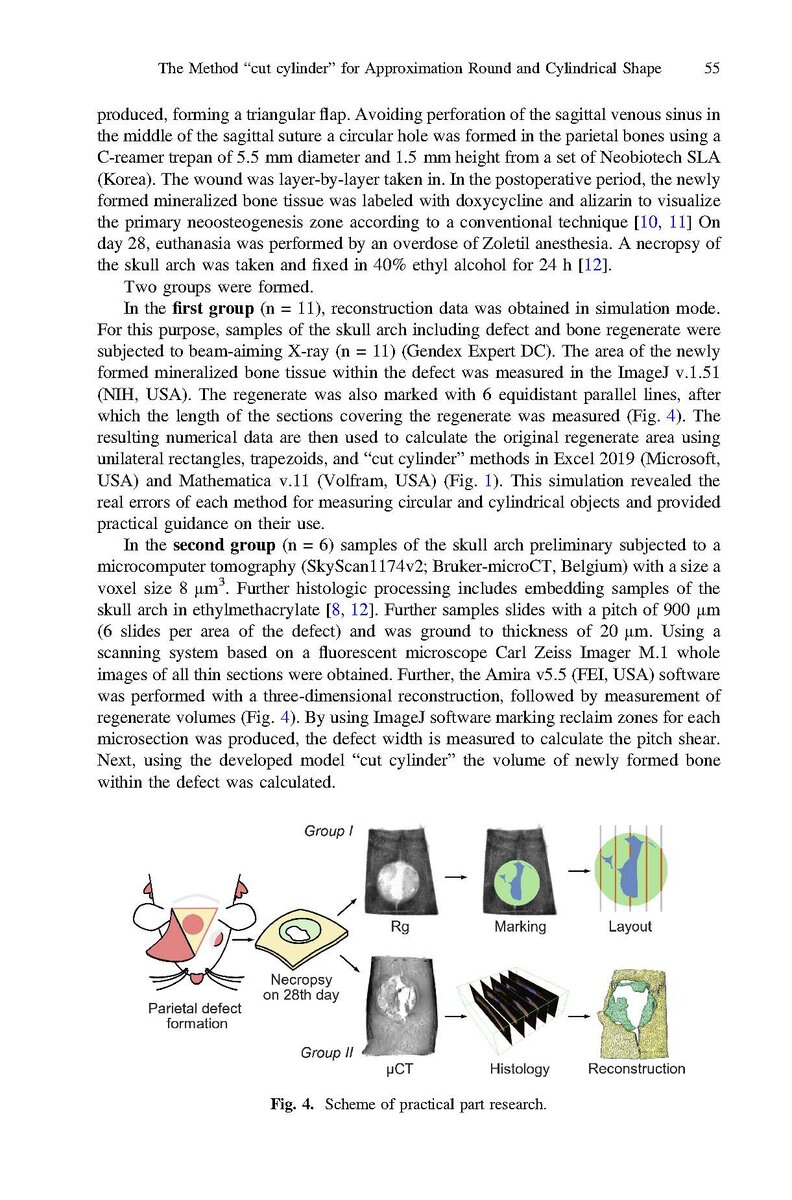 Пример №2: векторные рисунки нарисованы в Affinity Designer