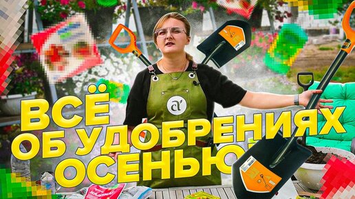 КАКИЕ УДОБРЕНИЯ ВНОСИТЬ В ПОЧВУ ОСЕНЬЮ? САМАЯ ПОДРОБНАЯ ИНСТРУКЦИЯ