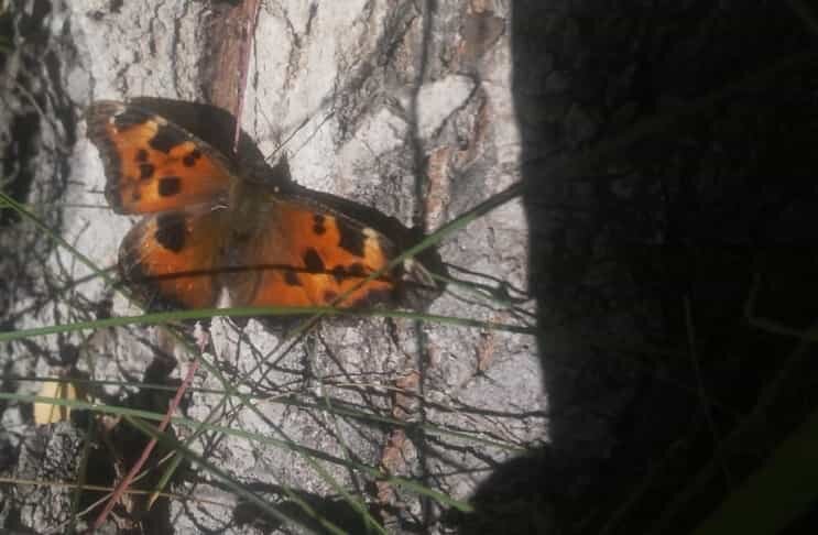    Фото Алексея Яновского сделано 18 сентября