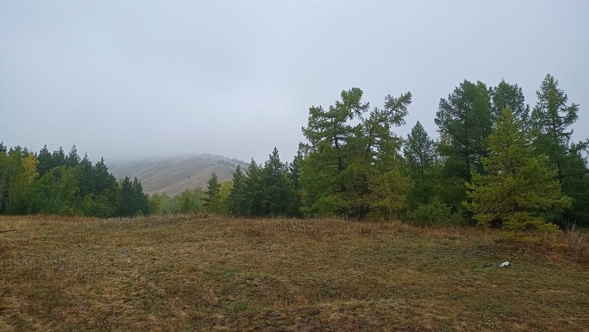 Вся политра