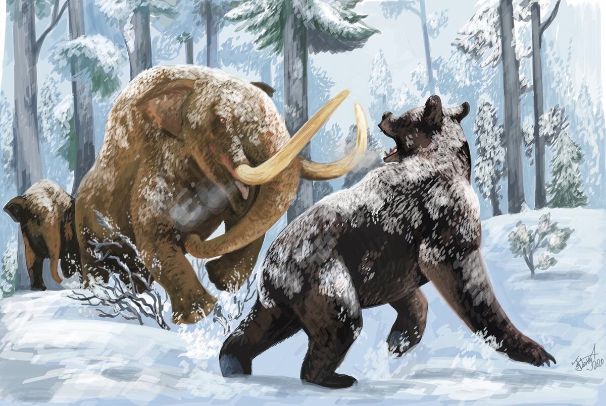 - А ну отошёл от ребёнка! - Да я его не трогал, ножи убери!