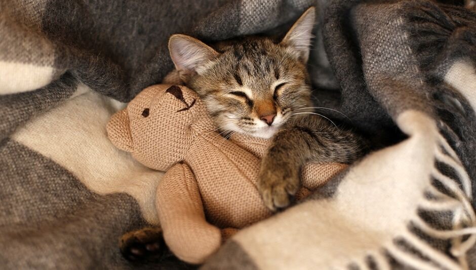 Источник: blog.domclick.ru