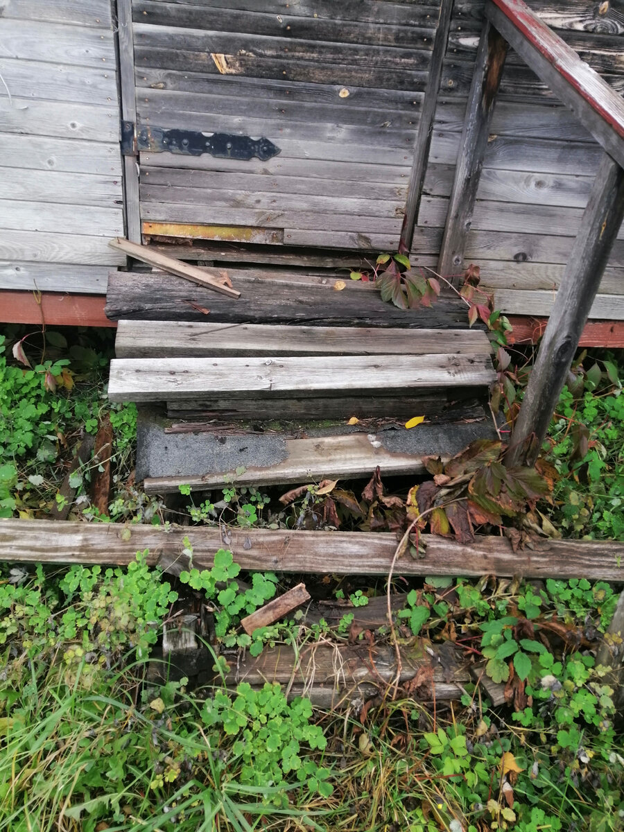 Оно давно сгнило