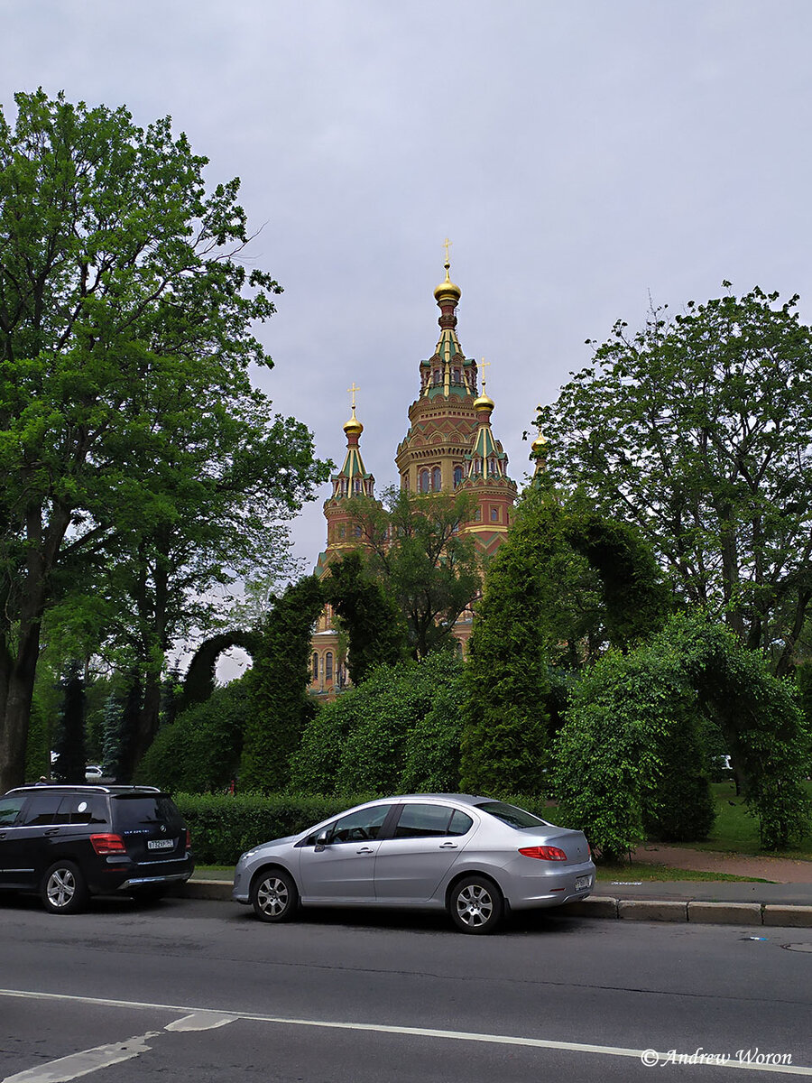 Вид на Собор со стороны Санкт-Петербургского проспекта