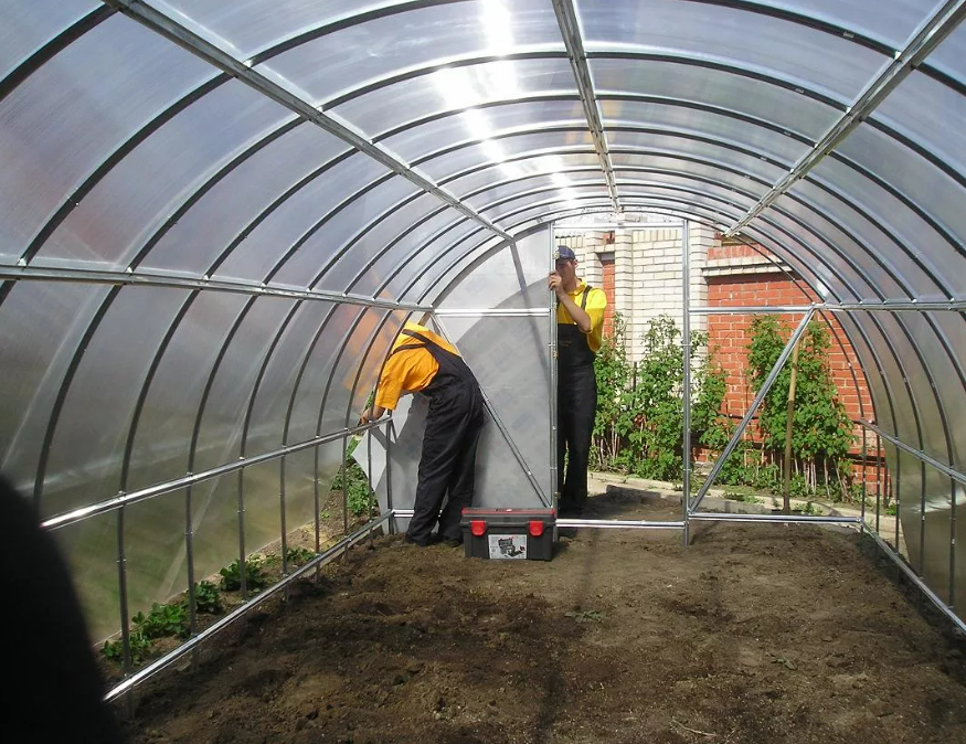 Фотография взята из источника vosadu-li-vogorode.ru