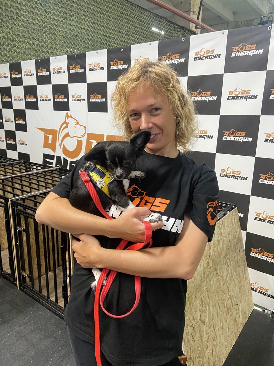 кинолог DOGSENERGYM 
