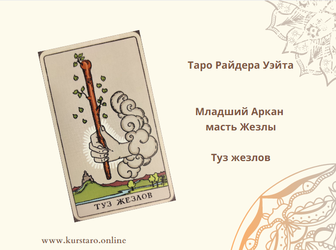 Значение и трактовка - Младший Аркан Таро Туз Жезлов | ШКОЛА ТАРО ...
