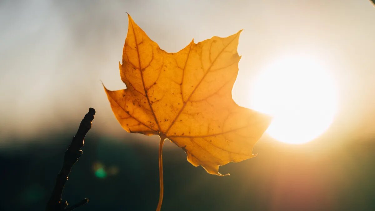 Магнитные бури могут вызвать ряд неприятных симптомов среди метеопатов. Фото: Pxfuel.com