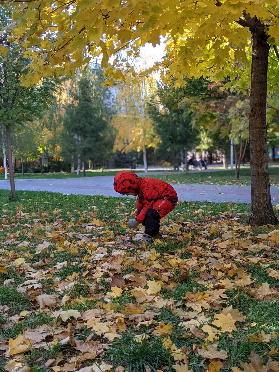 Вышли на прогулку с температурой 37.1. Уж больно день хороший.