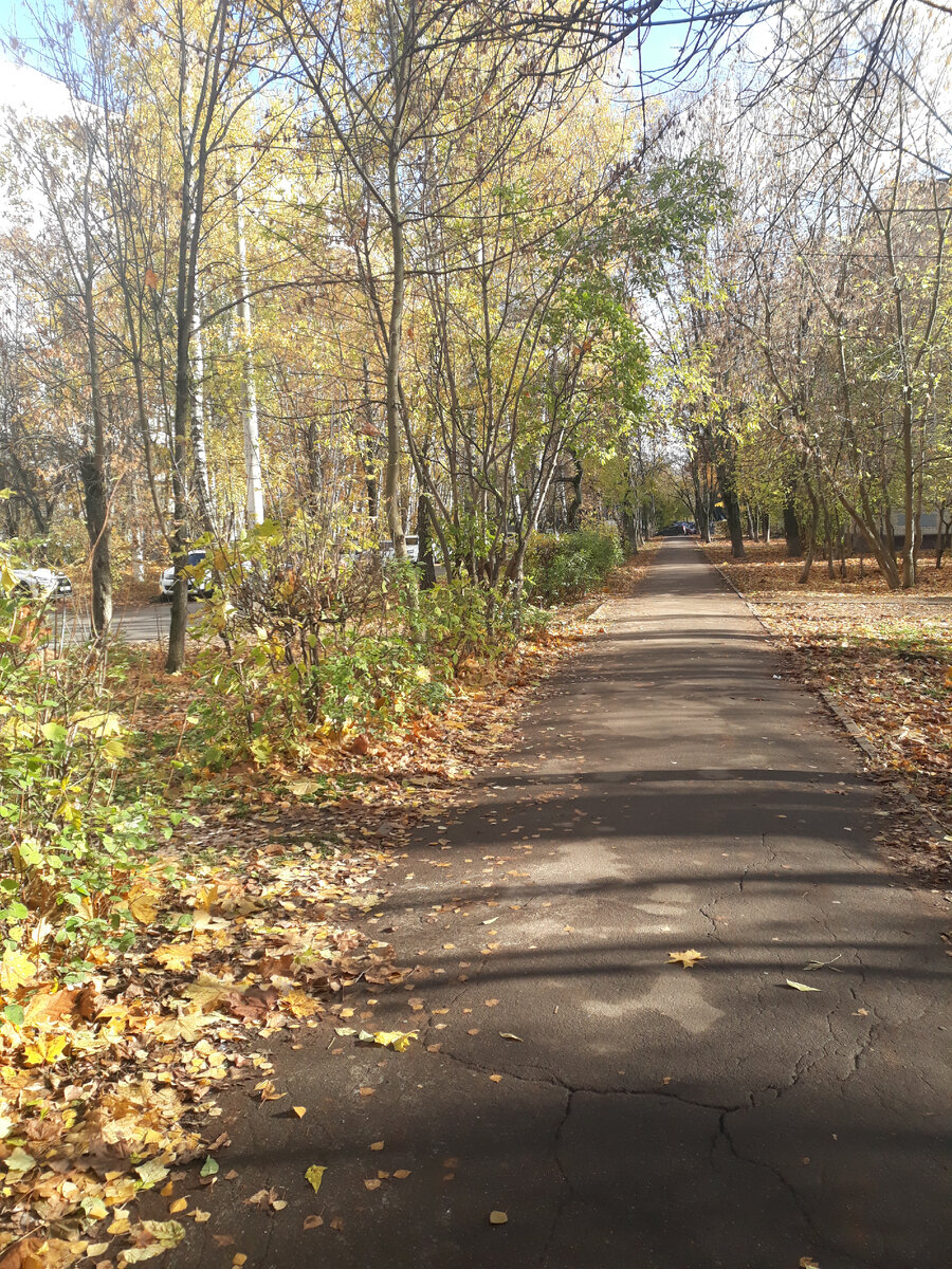 Вчера было очень красиво