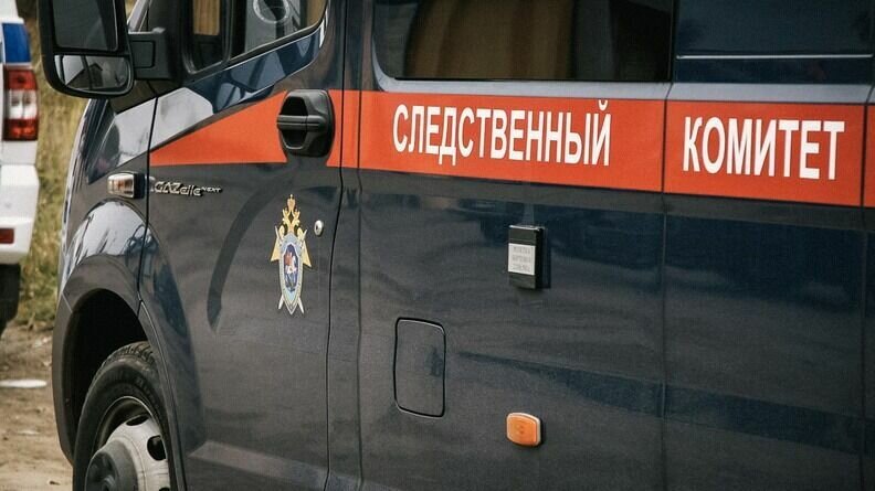     В Ростовской области уголовное дело возбуждено по факту жестокого убийства 12-летней девочки, в СМИ публикуют подробности произошедшей трагедии.