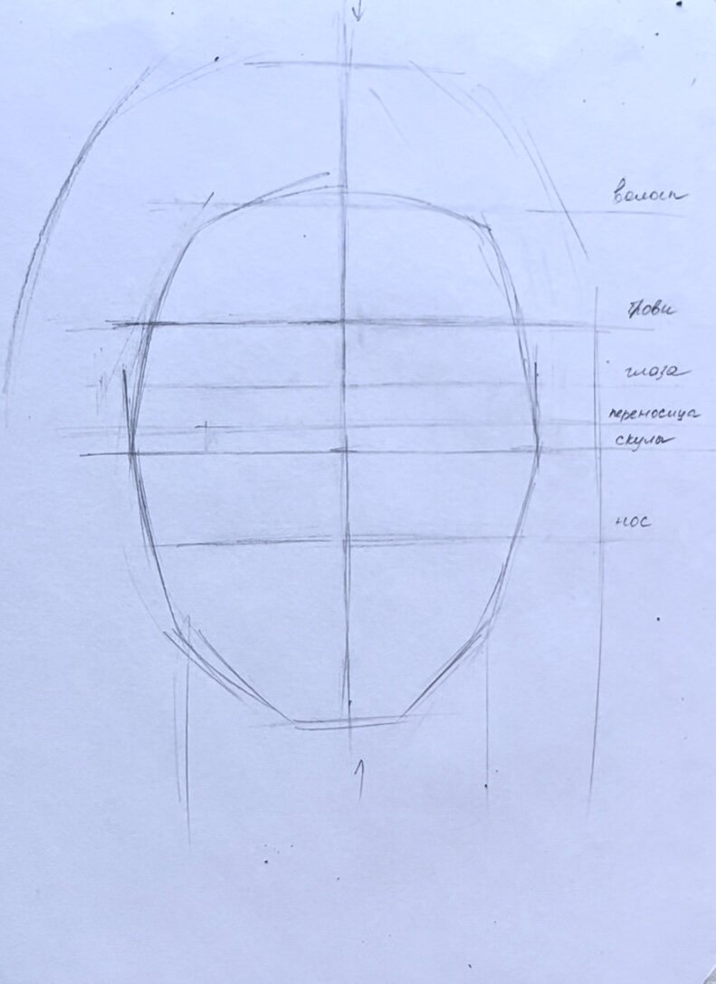 Как нарисовать портрет? Определяем пропорции. Этап наброска