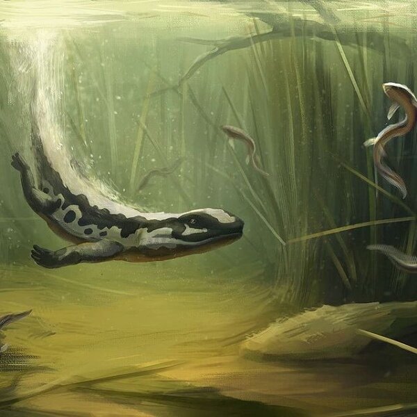 В Красном море, где-то в Хургаде.