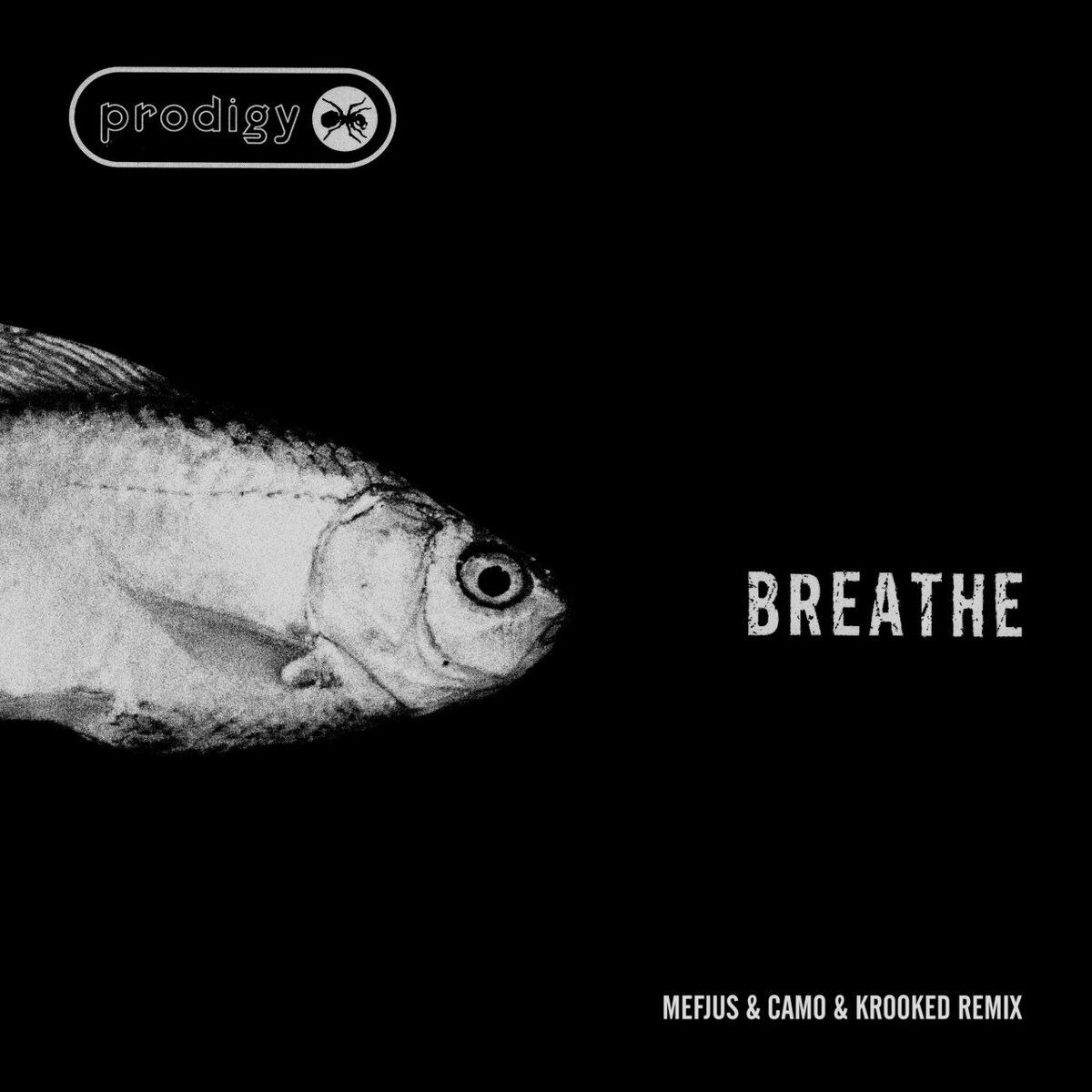 New remix Breathe (Mefjus Camo & Krooked Remix)