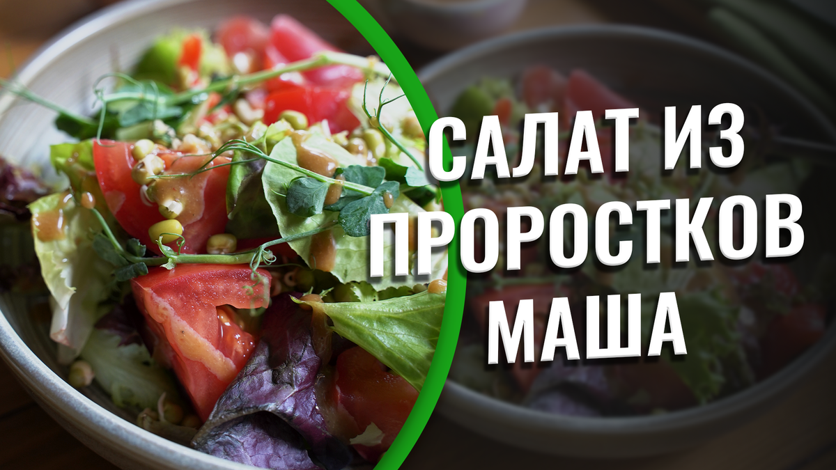 Рецепт салата из проростков маша. Им можно вкусно покушать на ночь без  вреда для фигуры | Питание и здоровье l Владимир Горохов | Дзен