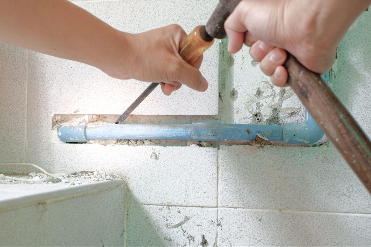 Источник: iamskyline / stock.adobe.com 