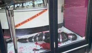    Фото: Социальные сети Юлия Карягина