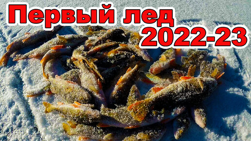 Первый лед 2022-2023г