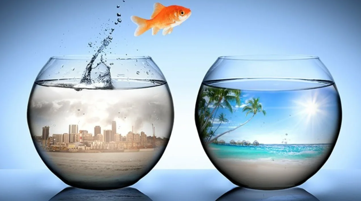 Преображаем жизнь. Мотивация к переменам в жизни. Счастливое будущее. Рыбка выпрыгивает из аквариума. Меняем жизнь к лучшему.