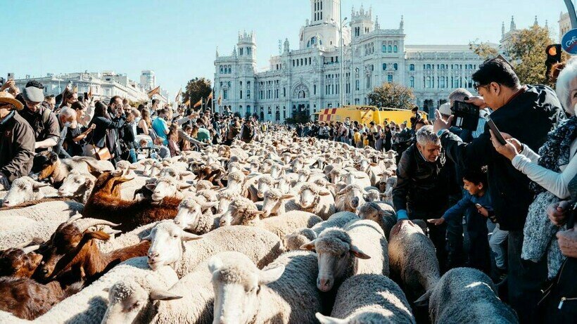    Фото: madridfree.org