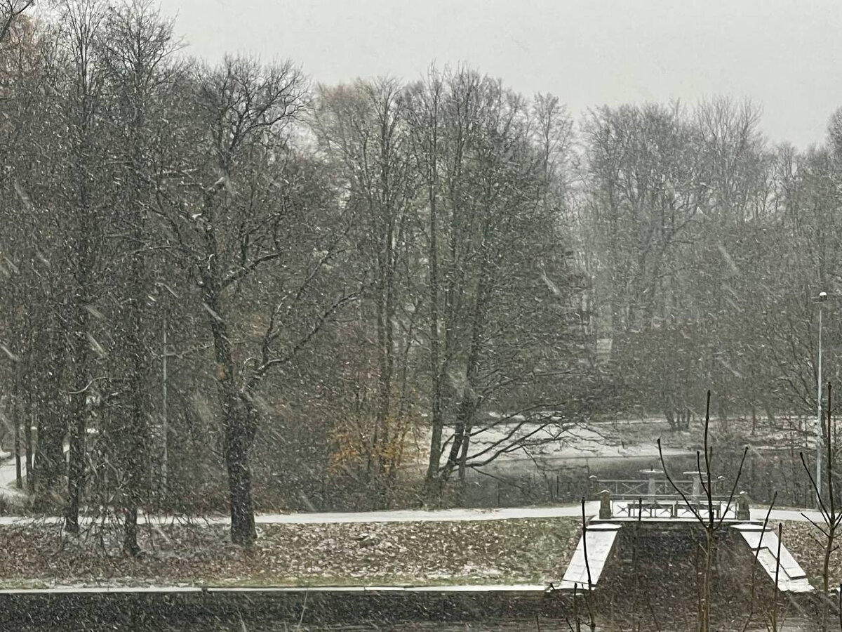   
 Фото: Елизавета Ивантей/«Фонтанка.ру»