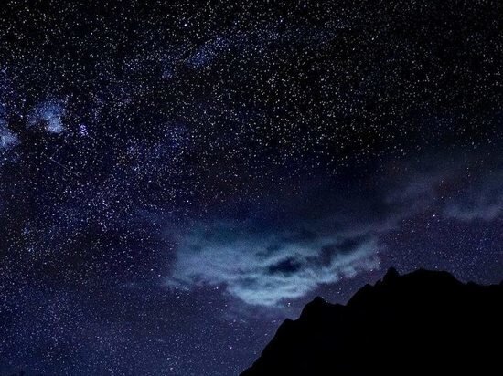     Фото: ru.freepik.com