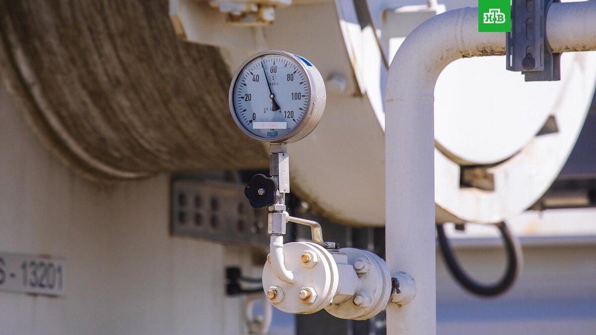    Фото: РИА Новости © 2022