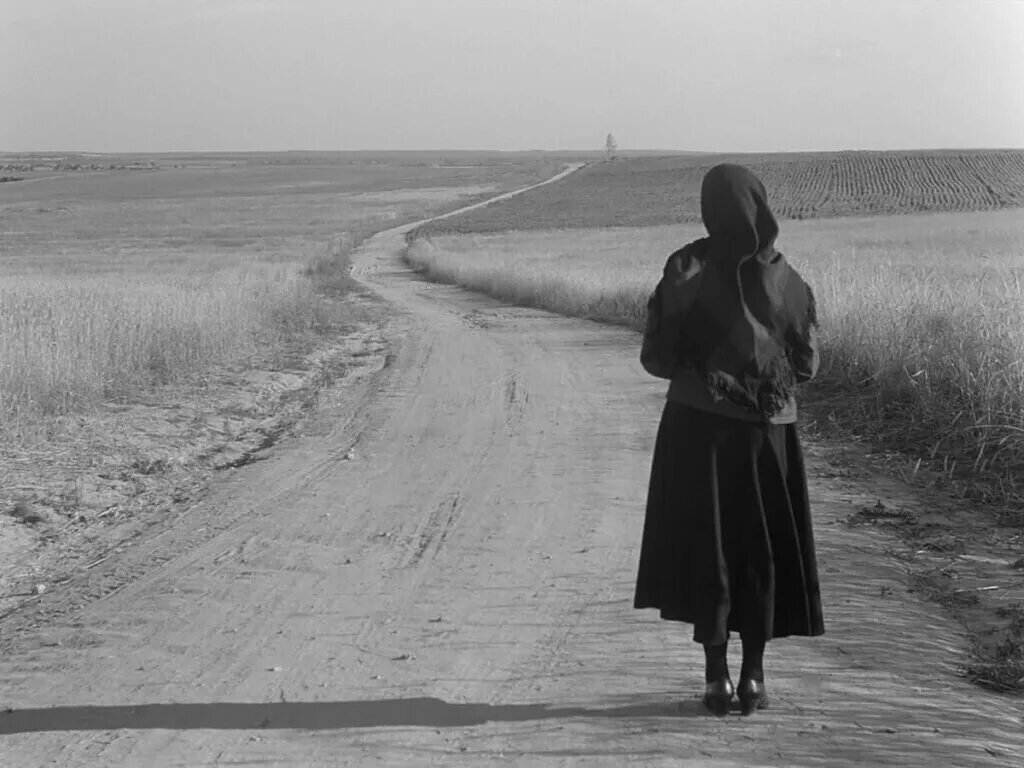 Картинка из свободных источников