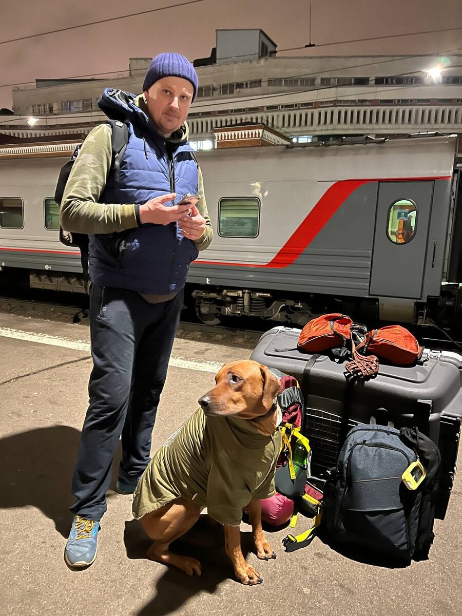 На поезде с собакой в Казань