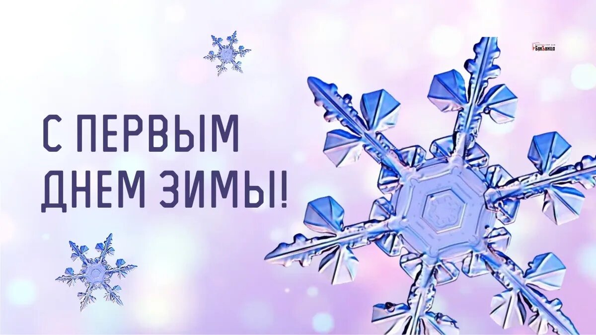 Когда 1 декабря