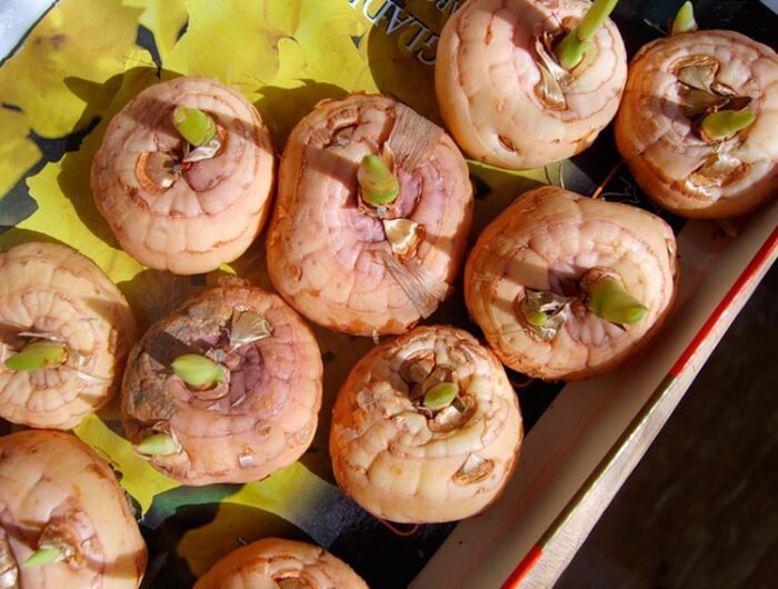 Изображение для иллюстрации, взято из открытых источников