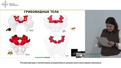 Отчетная конференция молодых ученых 2021