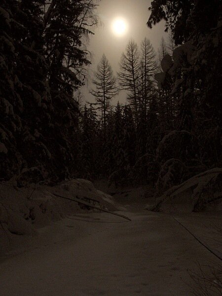 фото из интернета