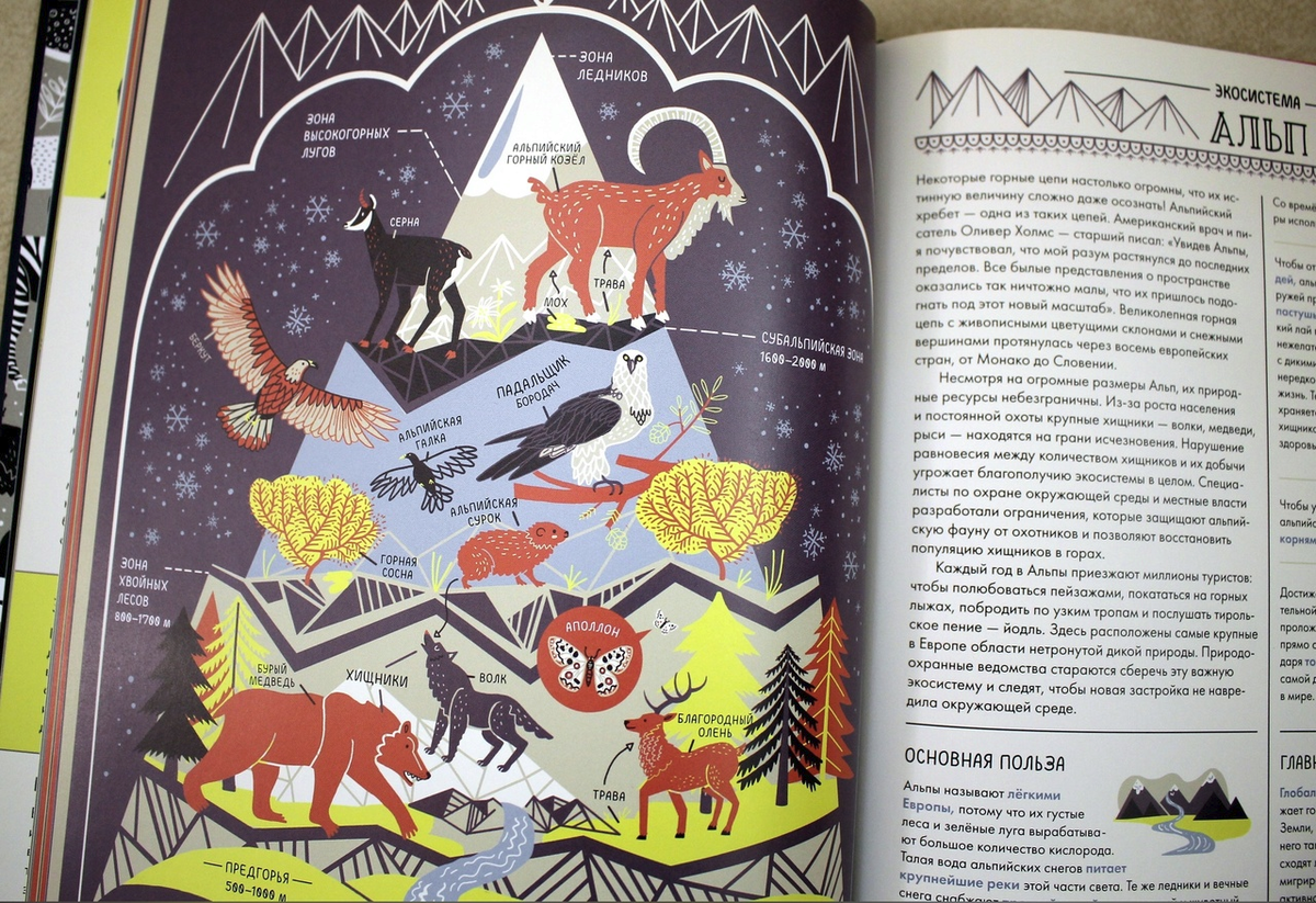 часть разворота для ознакомления с оформлением