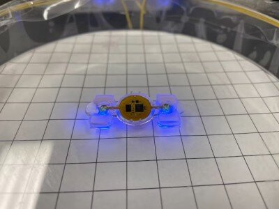    У киборга eBiobot из настоящей мышечной ткани нет аналогов