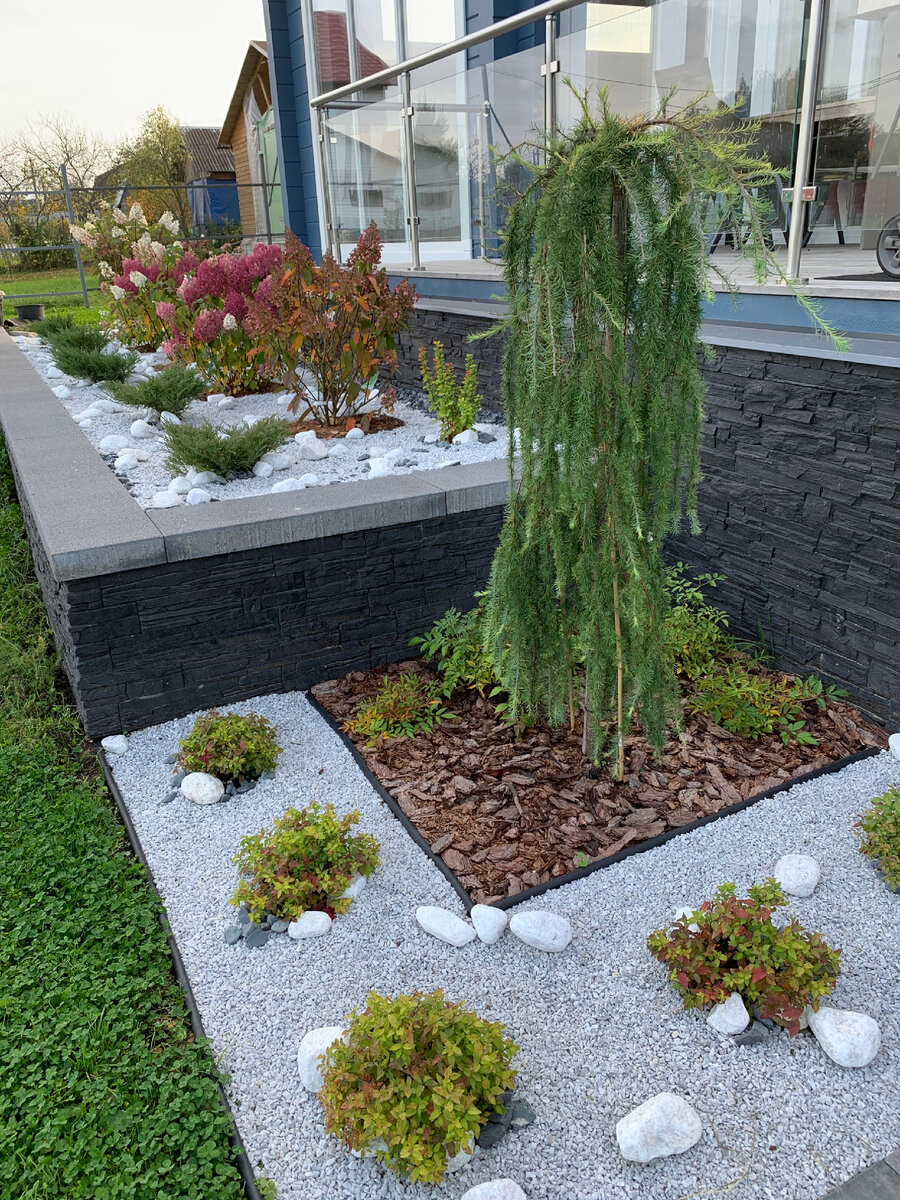 Бордюрная лента фото из моего сада