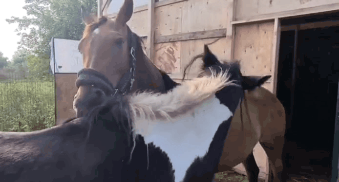 Фрагмент видео взят из открытого источника