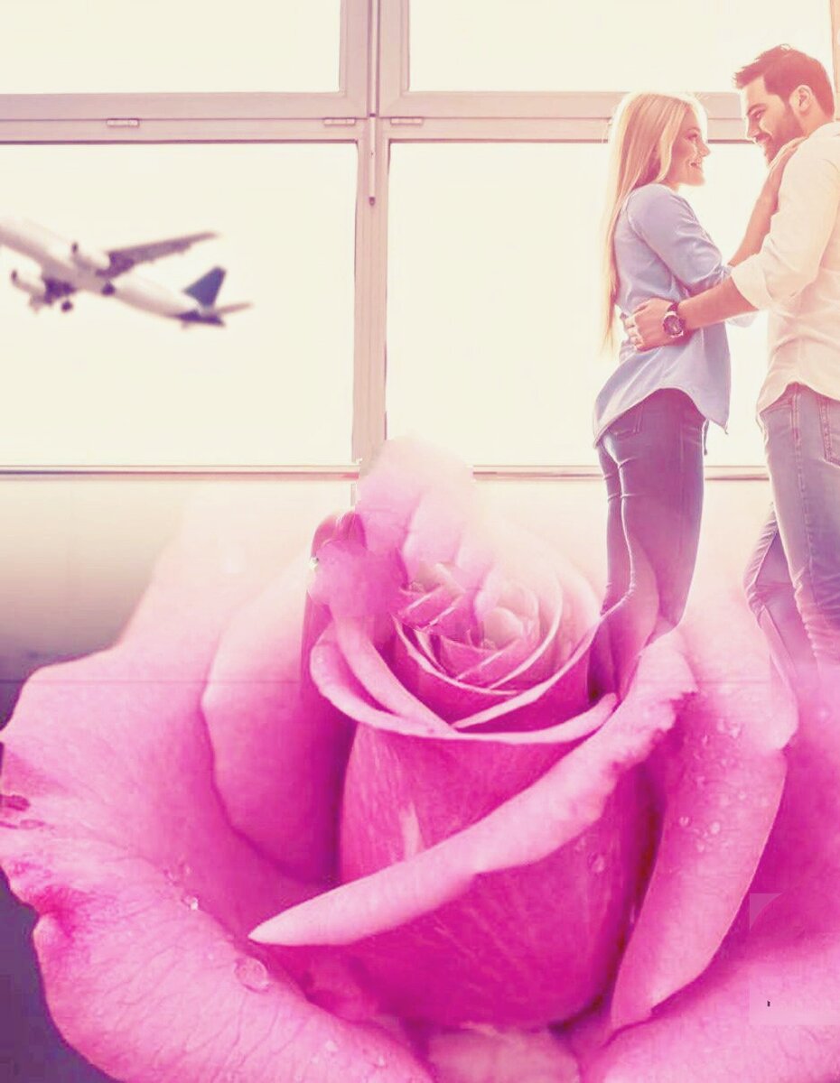 Фотоколлаж автора статьи