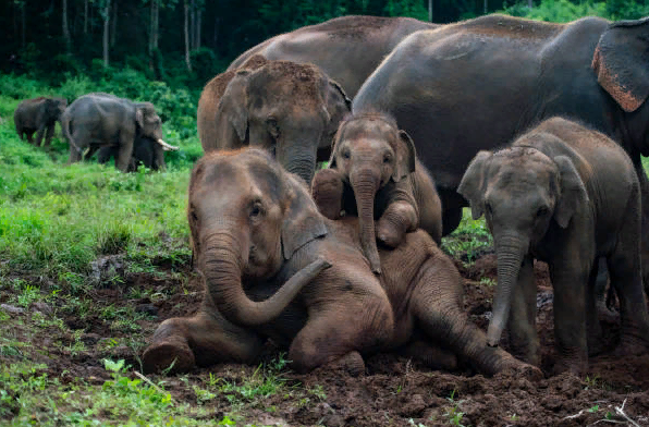 Не смогла остаться равнодушной к этой истории и, хочу поделиться ей с вами.-3