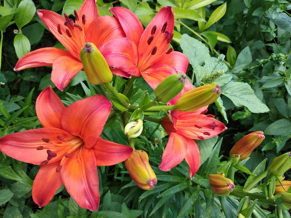 фото автора            Подписывайтесь на канал!И