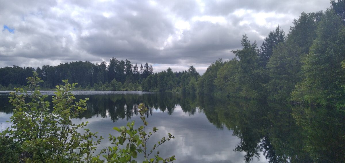 Красное озеро (остров) в Ивановской области, фото автора