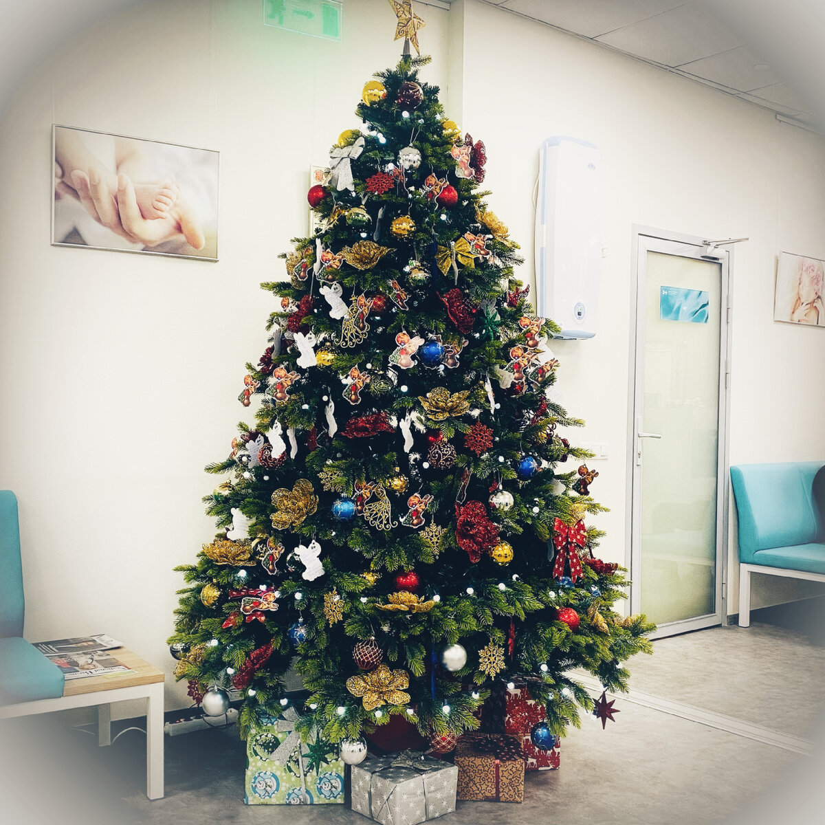 Ёлочка у кабинета моего репродуктолога.
