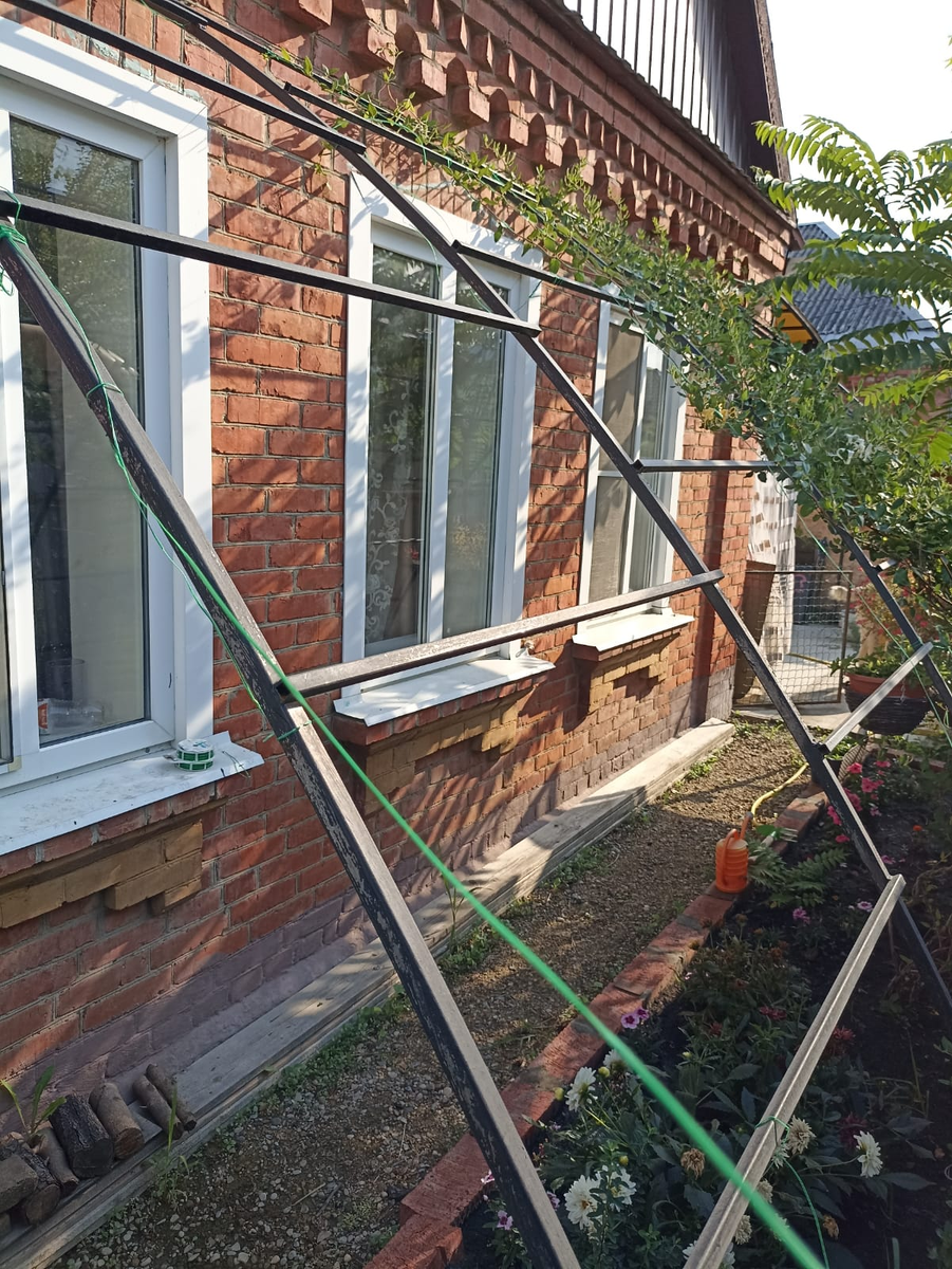 Фото автора.