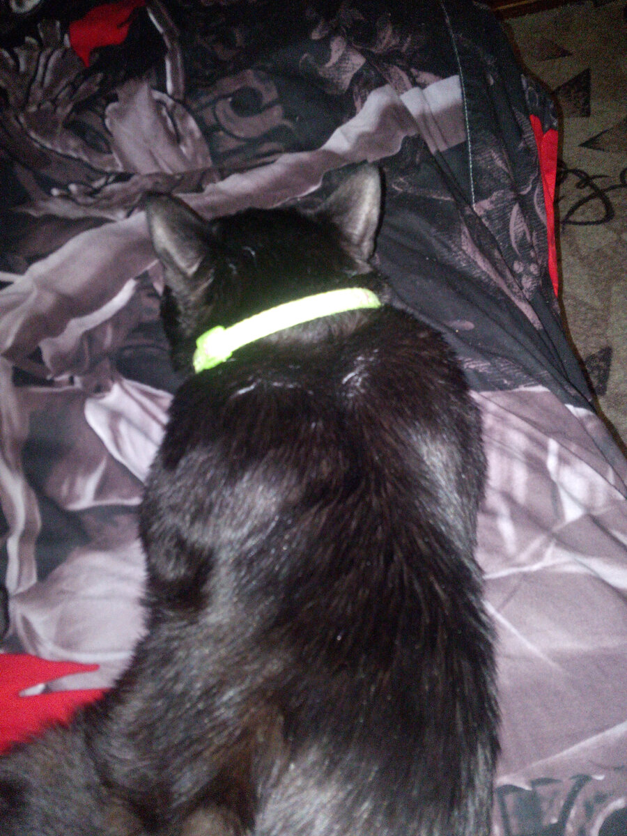 Источник: личное фото с архива