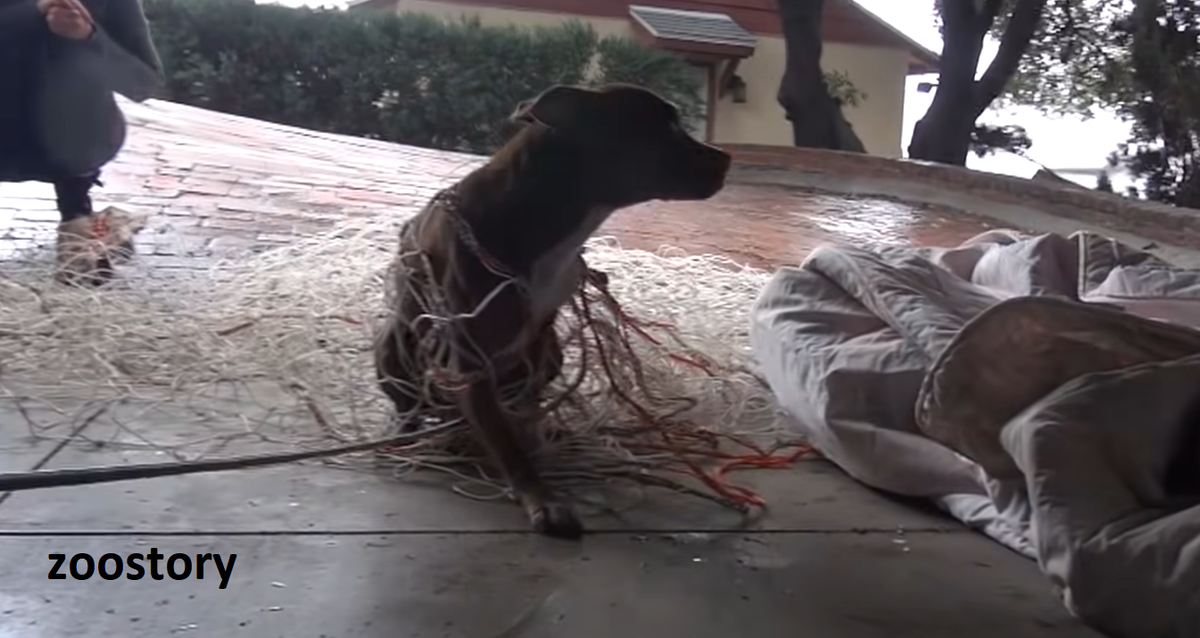 Сложности во время спасения