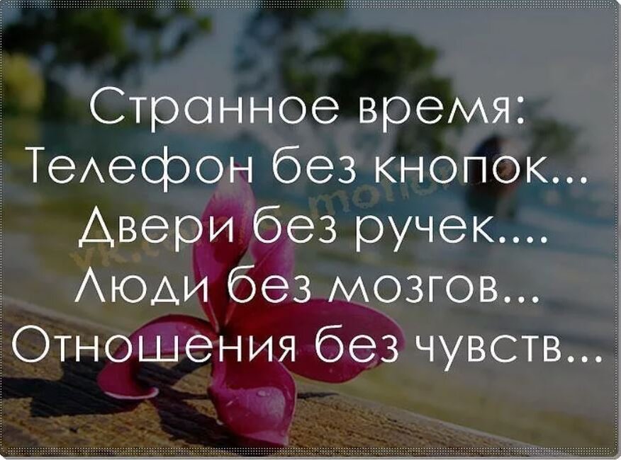 Странные статусы. У каждого есть тетя которая освоила ватсап и каждое утро. Девушка с телефоном в руках. Девушка с телефоном в руках. Разговаривать по телефону на автобусе.