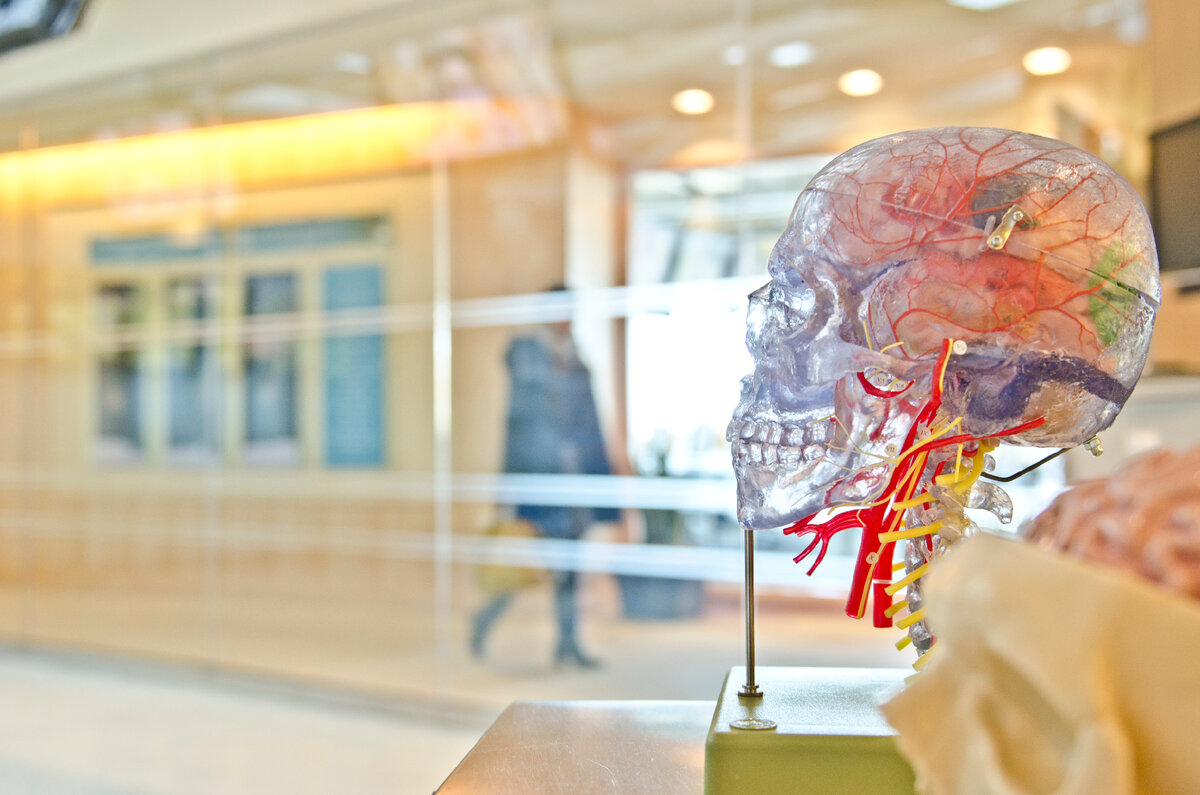 Ангиопатия головного мозга: причины, симптомы, лечение, профилактика |  fr.leonov | Дзен