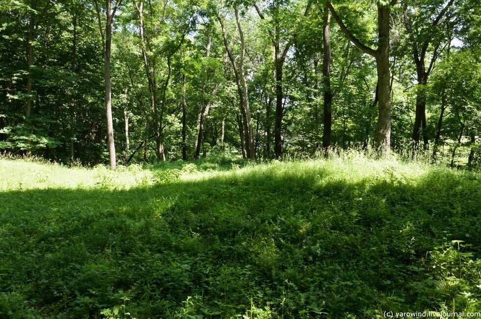 Эффиджи-маундс - курганы индейцев