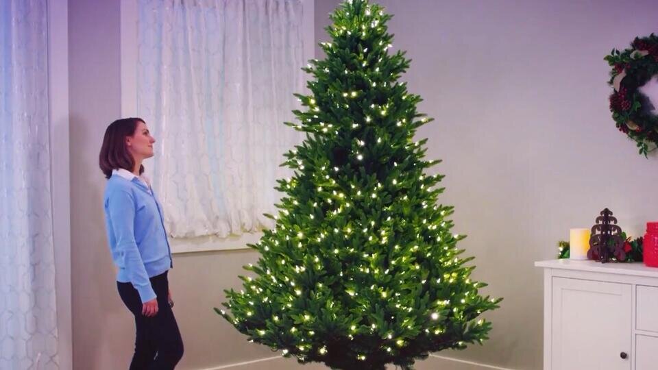 Фото: © Скриншот видео